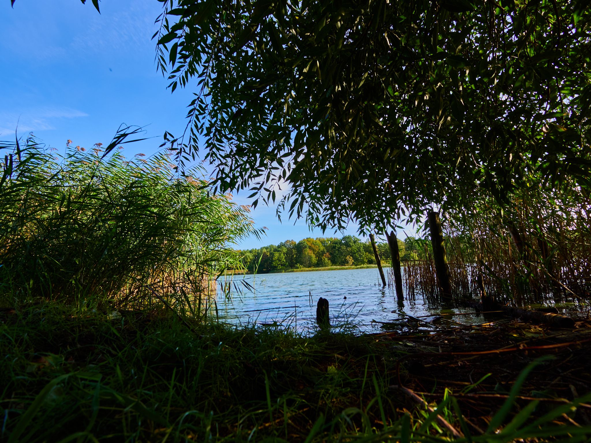 Landschaft 2024  1781 Usedom
